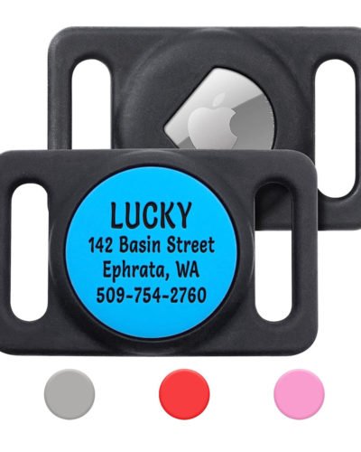 GoTags Engraved Airtag Dog Collar Holder