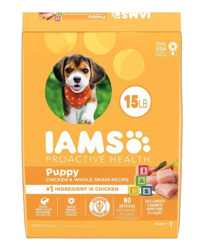 IAMS Smart Puppy Dry Dog Food with Real Chicken, 15 lb. Bag