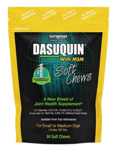 Nutramax Dasuquin with MSM Joint Health Supplement for Dogs