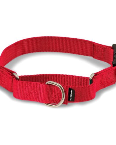 PetSafe Martingale Collar with Quick Snap Buckle