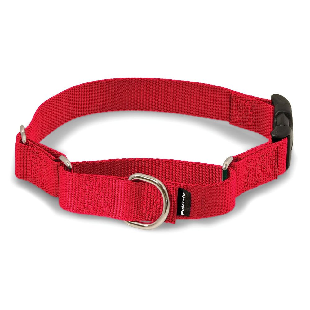 PetSafe Martingale Collar with Quick Snap Buckle