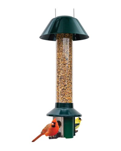 Roamwild PestOff Squirrel Proof Wild Bird Feeder