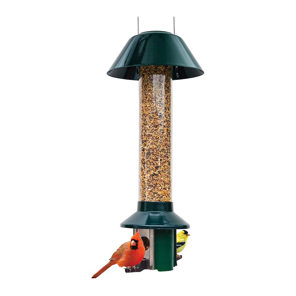 Roamwild PestOff Squirrel Proof Wild Bird Feeder