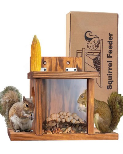 VASGOR Wood Squirrel Feeder